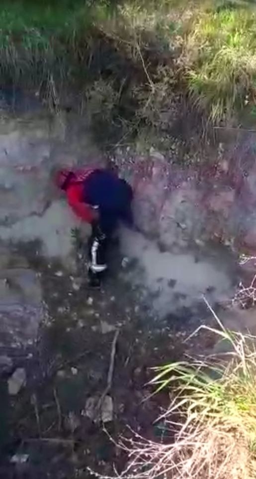 Kuyuda Mahsur Kalan Kaplumbağaların Yardımına İtfaiye Koştu