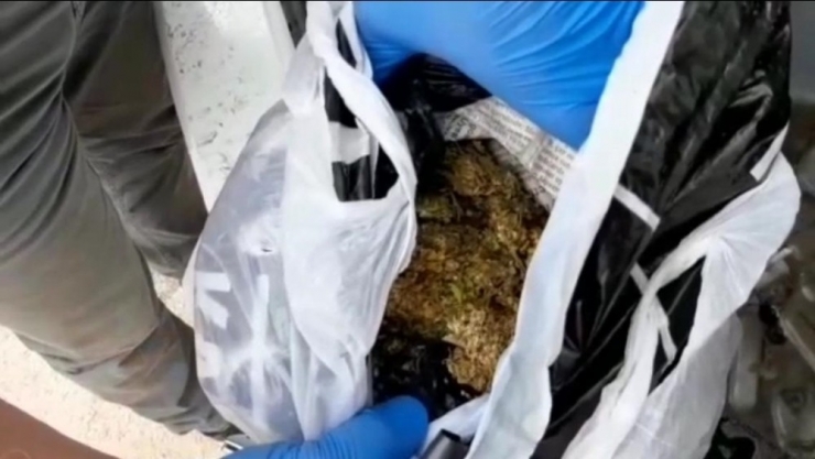 Narkotik Köpeği Tepki Verdi, Uyuşturucu Lambanın Arkasından Çıktı