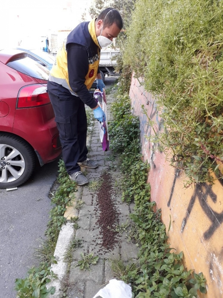 Eyüpsultan’da Sokak Hayvanları Unutulmadı