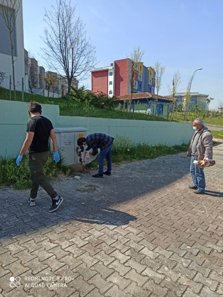 İzmit’te Sokak Hayvanları Aç Kalmıyor