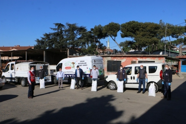 Sokağa Çıkma Kısıtlamasında Sokak Hayvanları Unutulmadı