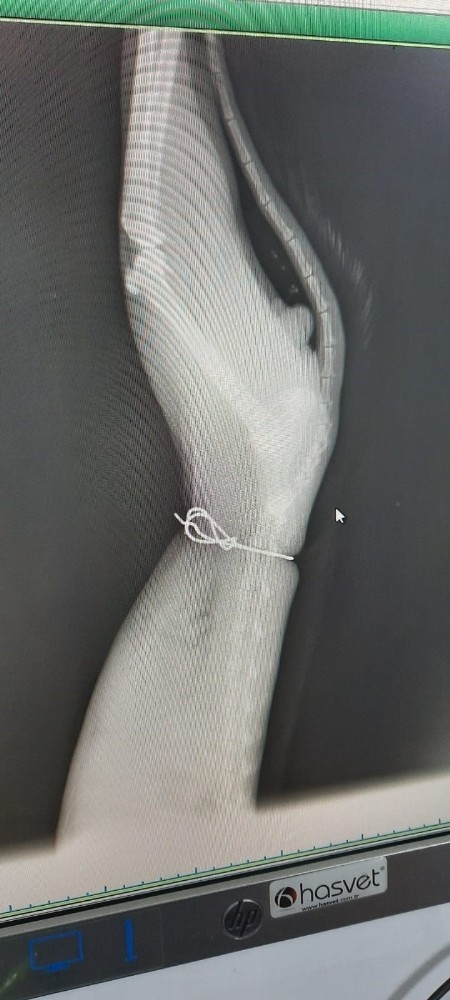 Böyle Vicdansızlık Görülmedi