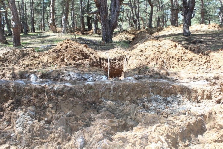 Küçükelma Tabiat Parkı’nda Düzenleme