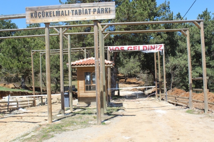 Küçükelma Tabiat Parkı’nda Düzenleme