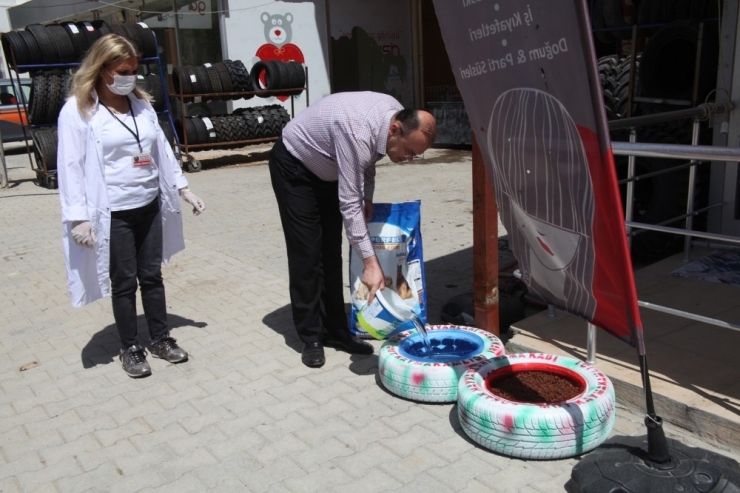 Kaymakam Köken’den Sokak Hayvanlarına Mama, Su Ve Yem