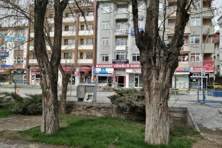 Şehit Nusret Parkı’ndaki Ömrünü Tamamlayan Ağaçların Yerine Yenileri Dikilecek