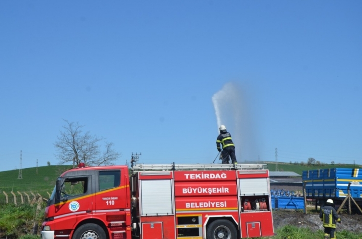 Sigara İzmariti Yangın Çıkardı