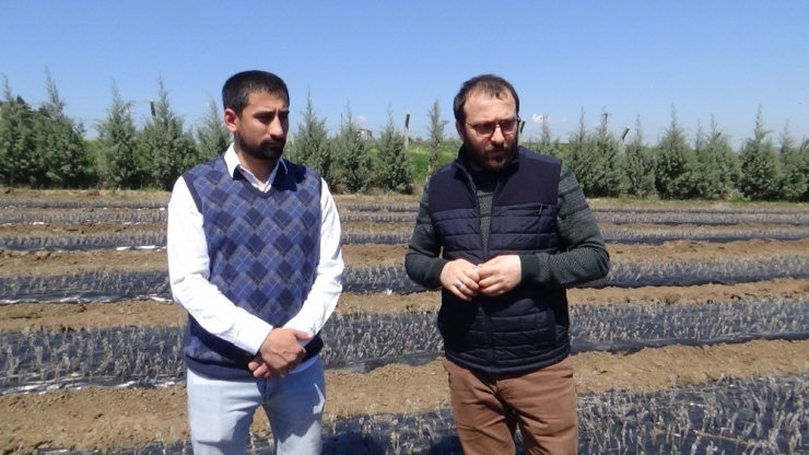 Fideleri Toprakla Buluşturdular