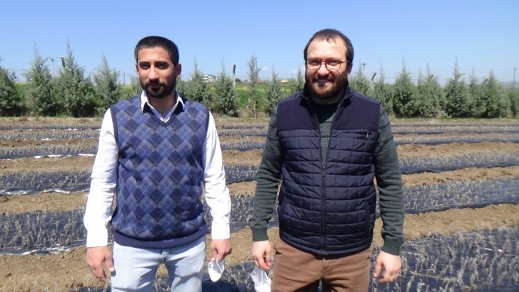 Fideleri Toprakla Buluşturdular