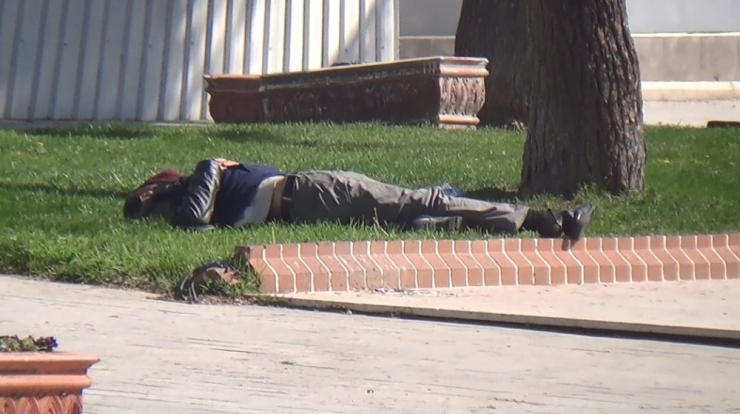 Türkiye Eve Çekildi, Cezayirli Vatandaş Parkta Uyurken Bulundu