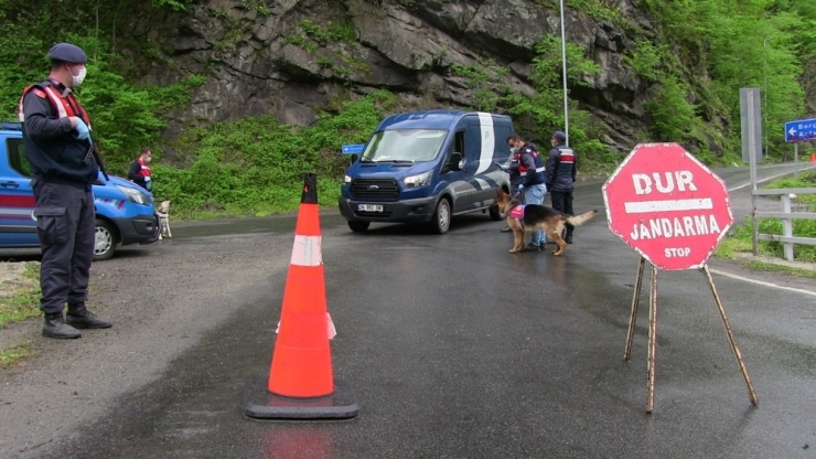 Borçka’da Gece Yarısı İtibariyle Karantina Kalktı
