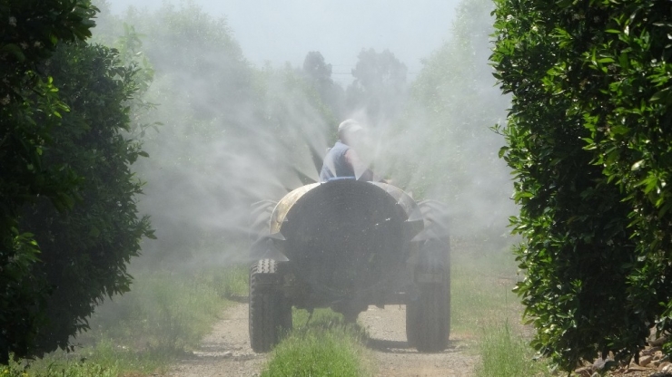 Herkes Evde Kalıyor, Çiftçiler Alın Teri Döküyor