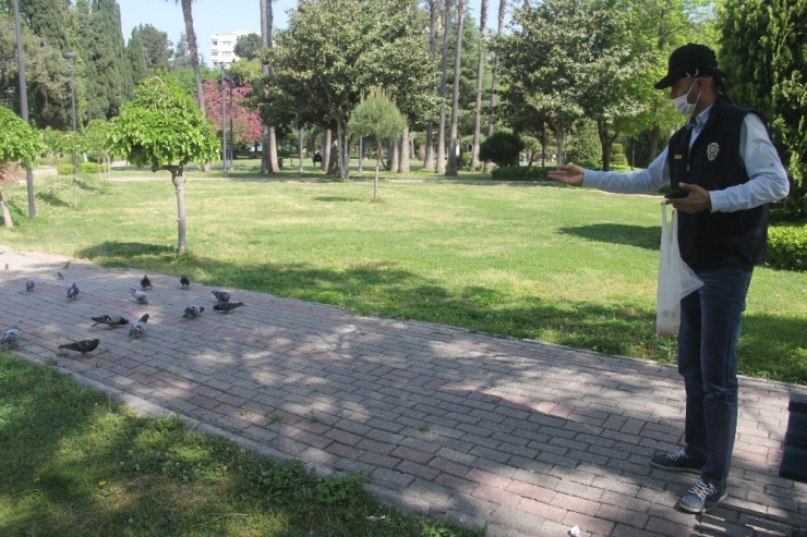 Polis Ve Aski Ekipleri Güvercinleri Unutmadı