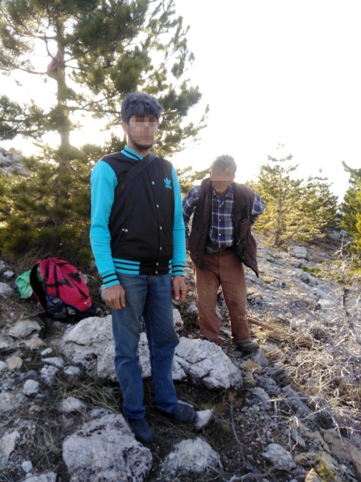 Alanya’da Kamp Kurarak Kaçak Kazı Yapan Baba-oğul Yakalandı