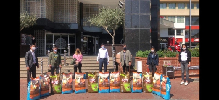 Başkanlardan Sokak Hayvanlarına Destek