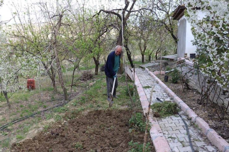 Herkes Evde Onlar Tarlada