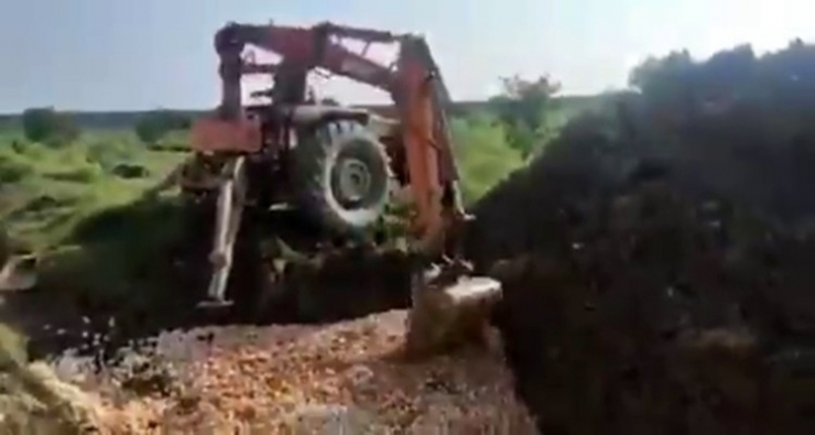 İran’da Tavuk Tüketimi Azalınca Yüz Binlerce Civciv İtlaf Edildi