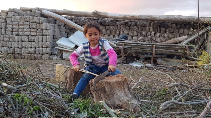 Herkes Evde, Onlar Çalışıyor