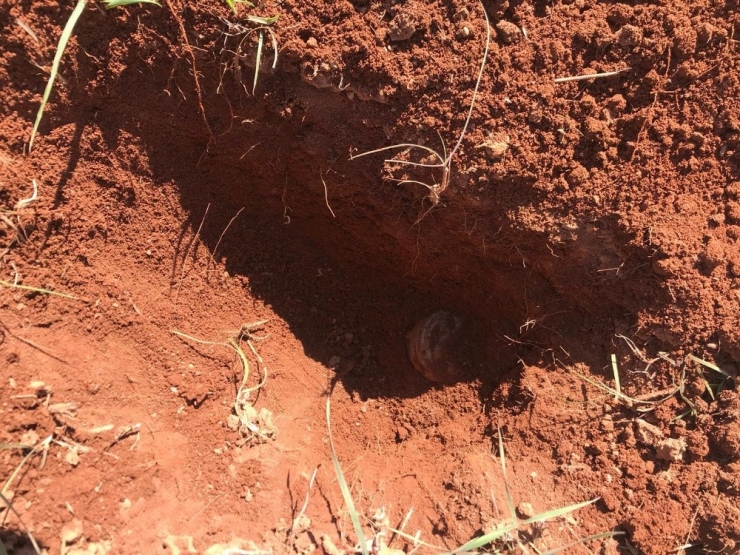 Suriye Sınırında 12 Anti Personel Mayını İmha Edildi