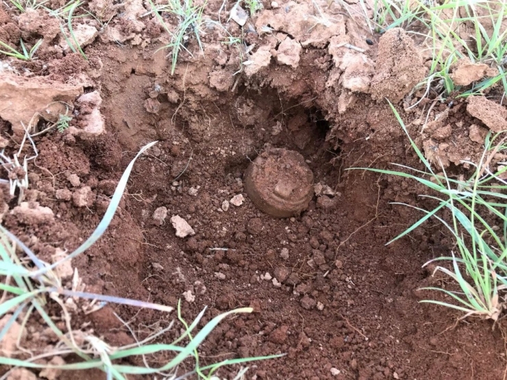 Suriye Sınırında 12 Anti Personel Mayını İmha Edildi