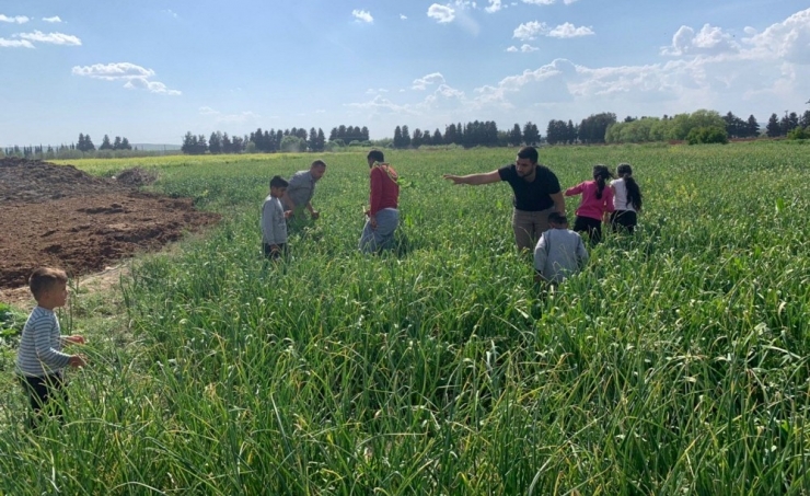 Onlara Kısıtlama Yok