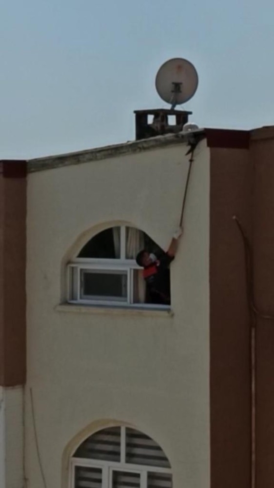 Ayağı İpe Takılan Ebabil Kuşunu Can-kur Kurtardı