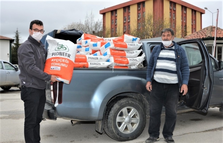 Afyonkarahisar’da Çiftçilere Yüzde 75 Hibe İle Ayçiçek Tohumu Dağıtıldı