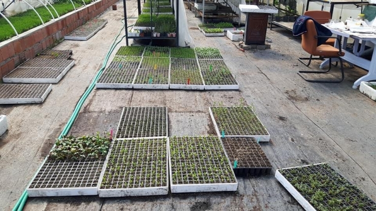 Baçem’in Fideleri Milli Botanik Bahçesi’nde