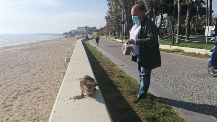 Sokağa Çıkma Kısıtlamasında Özel İzinle Kedilerini Besledi