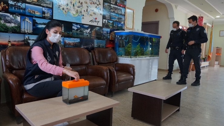 Okulda Aç Kalan Balık Ve Köpeklerin İmdadına Polis Yetişti