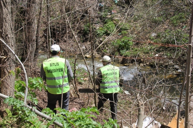 Bitlis’te Polenli Ağaçlar Kesilmeye Başlandı