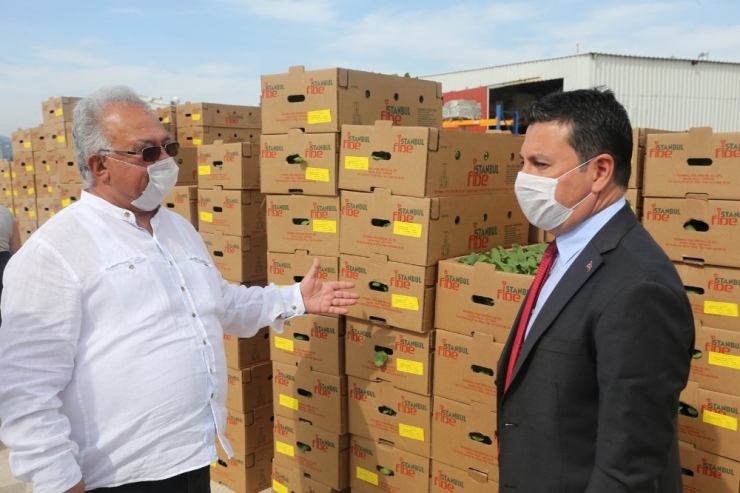 Bodrum Belediyesi Korona Tarım Acil Eylem Planında İlk Adımı Attı