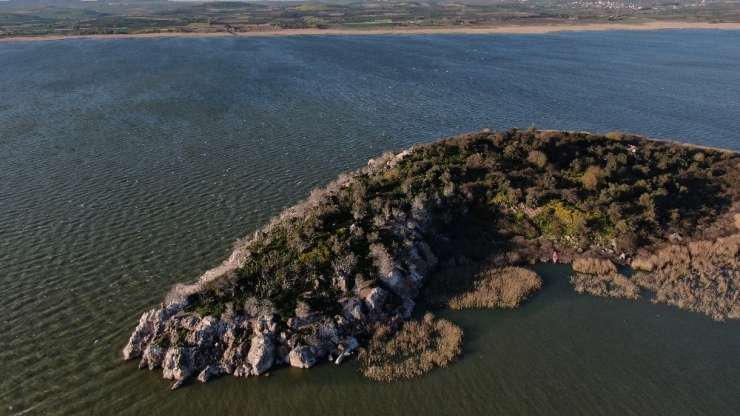 Ada Sahibi Çiftçi Cristiano Ronaldo’dan Umudu Kesti Fatih Terim’e Seslendi