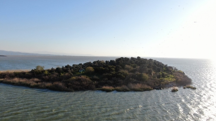 Ada Sahibi Çiftçi Cristiano Ronaldo’dan Umudu Kesti Fatih Terim’e Seslendi