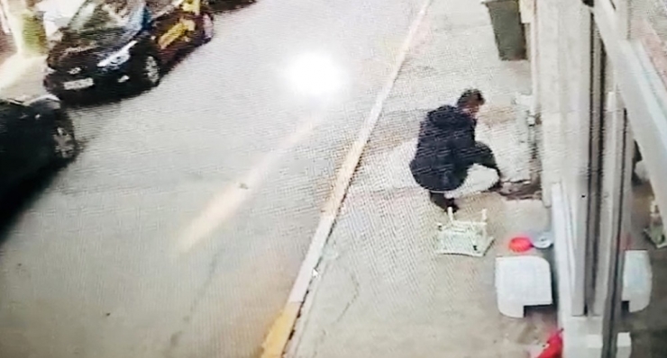 Köpeği Önce Sevdi, Sonra Çaldı