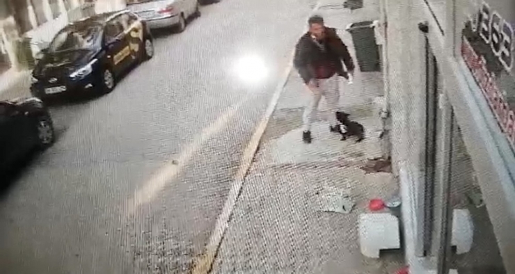 Köpeği Önce Sevdi, Sonra Çaldı