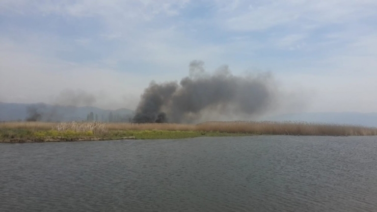 Etno Sporlarının Yapılacağı Bölge De Sazlık Yangını