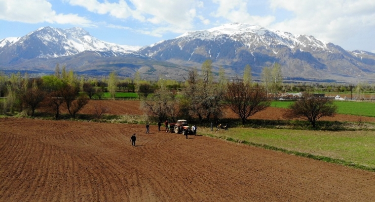 Erzincan’da Yüzde 75 Hibe Edilen Tohumlar Toprakla Buluştu