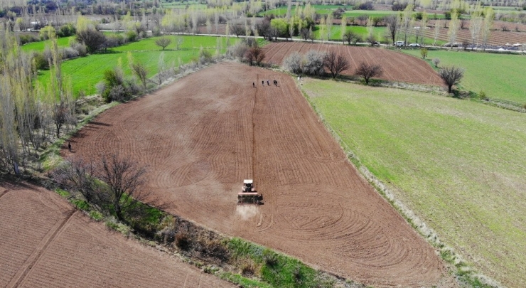 Erzincan’da Yüzde 75 Hibe Edilen Tohumlar Toprakla Buluştu