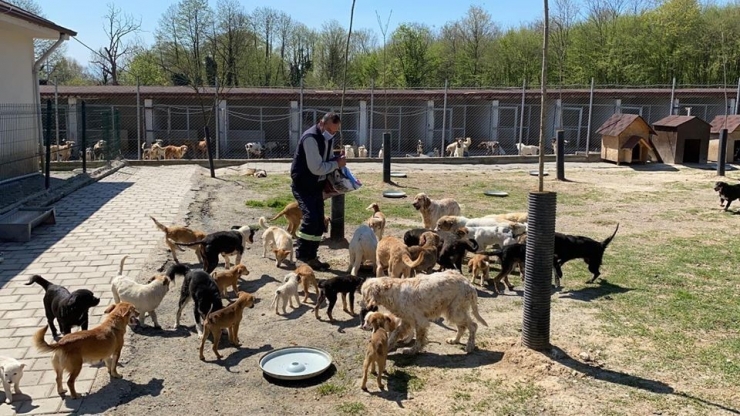 Hendek Belediyesi Hafta Sonu Vatandaşların Hizmetine Koştu