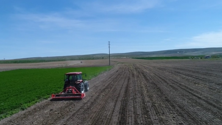 Virüs Onların Çalışmasına Engel Olmuyor