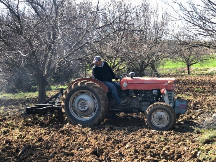Muhtar, Yaş Sınırına Takılan Köylüsünün Tarlasını Sürdü, Ekimini Yaptı