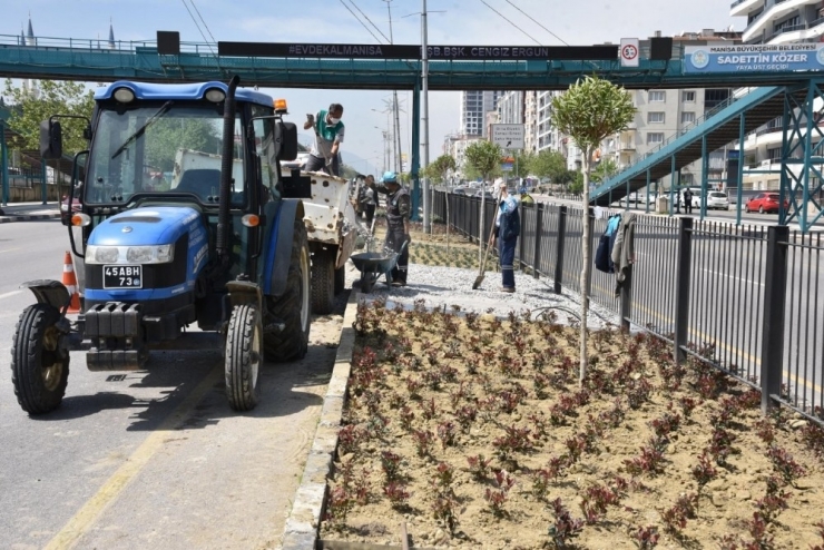 Mimar Sinan Bulvarında Peyzaj Çalışması Başladı