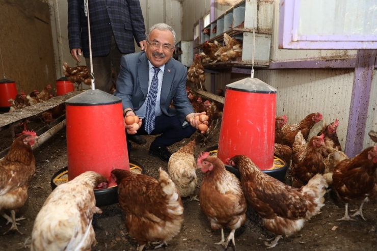 Ordu’da ‘Sözleşmeli Tarım’ Atağı