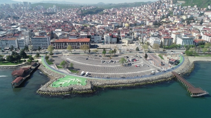 Altınordu’da Ayışığı Otoparkı Ağaçlandırılıyor