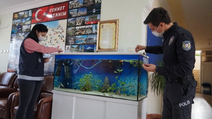 Okulda Aç Kalan Balık Ve Köpeklerin İmdadına Polis Yetişti