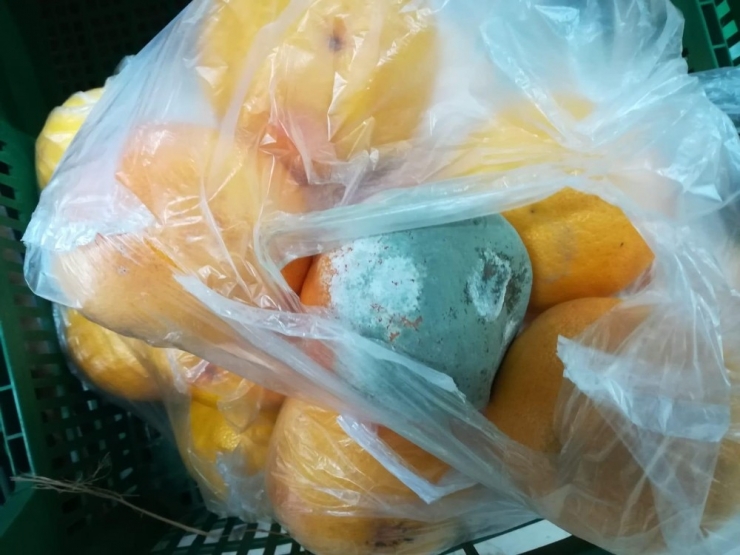 Taze Gıda Denetimlerinde Taviz Yok