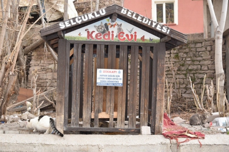 Selçuklu Belediyesi Sokak Hayvanlarını Unutmadı