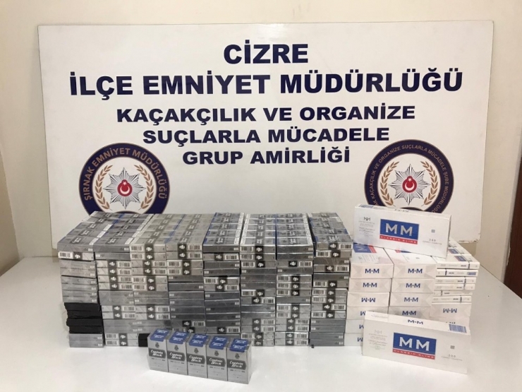 Şırnak’ta Terörle Mücadele Ve Kaçakçılık Operasyonları: 13 Gözaltı