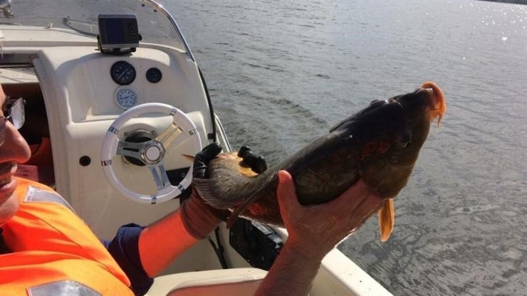 Yasağa Rağmen 2 Bin 500 Metre Balık Ağı Ele Geçirildi